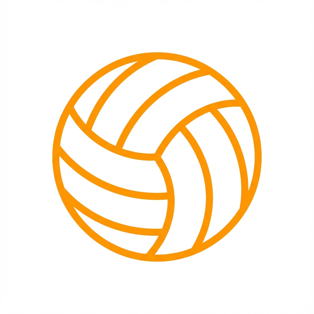 VolleyFlow Logo